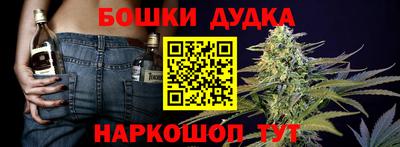 СК Пугачёв