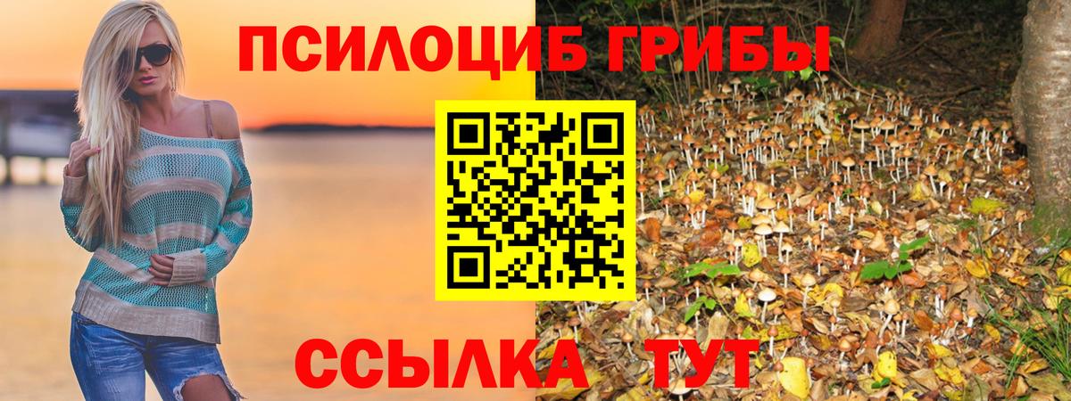 Псилоцибиновые грибы Magic Shrooms Богородицк