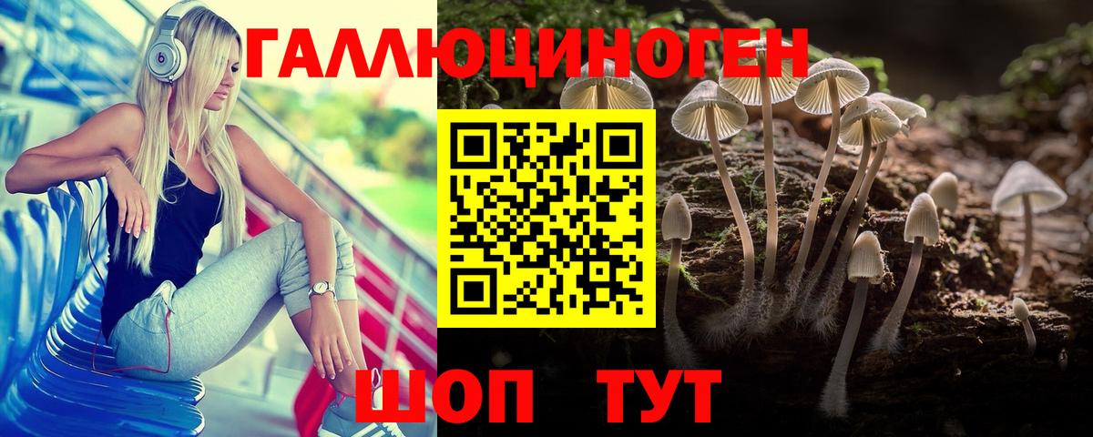 Псилоцибиновые грибы Psilocybine cubensis  Вход с VPN  Богородицк 